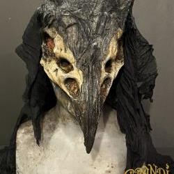 Bird Mask