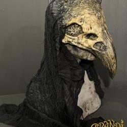 Bird Mask