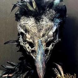 Bird Mask