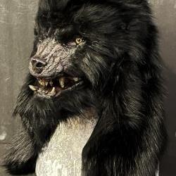 Wolf Mask