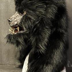 Wolf Mask